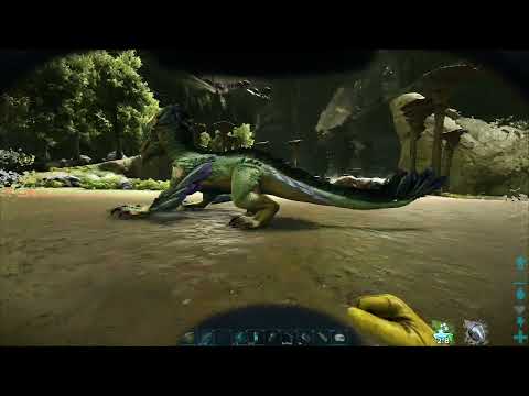 Solo the Ark - Ep 153