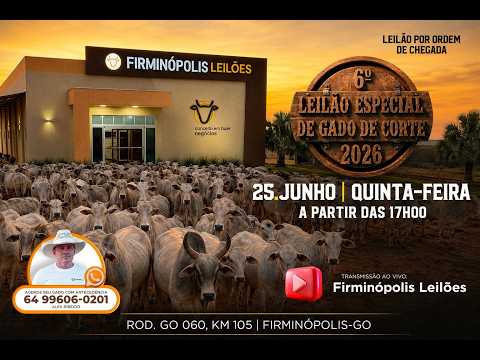 FIRMINOPOLIS LEILÕES 09/07/2026