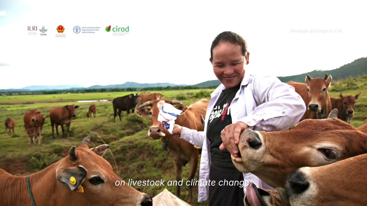 Regional conference on Sustainable livestock transformation for food systems in Asia and the Pacific