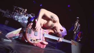Red Hot Chili Peppers - Monarchy Of Roses (live @ Club Nokia, Los Angeles 24-08-11) [HD Pro Shot]