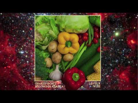 Lovely Wife // Snakes Don't Belong In Alaska - Split