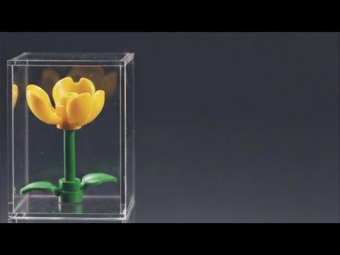 Lil Amo - HAYA  (Official Lyric Video)