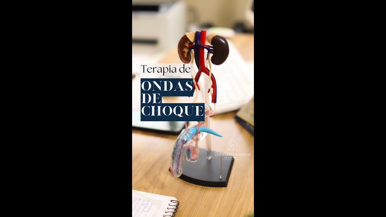 Leonardo Volante De Almeida-30