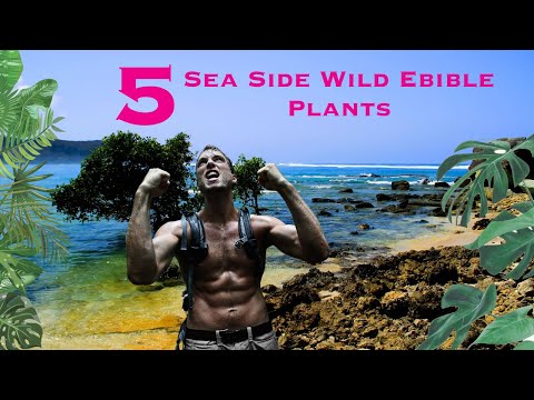5 Must Know Sea Side Edible Plants for Survival 🌊
