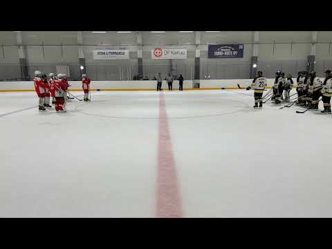 Hokki white - Kärpät keltainen u13 27.2.2021