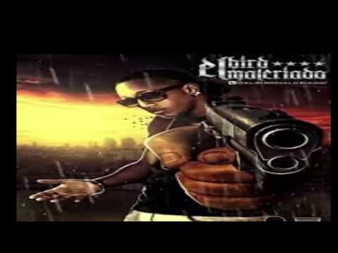 MASACRE EL BIRD - EL MALCRIADO 2014 LO MAS NUEVO