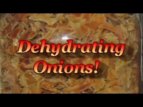 download lagu mp3 mp4 Drying Onions In A Dehydrator, download lagu Drying Onions In A Dehydrator gratis, unduh video klip Drying Onions In A Dehydrator