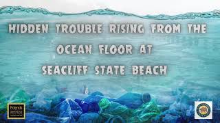 Hidden Plastics at Seacliff State Beach