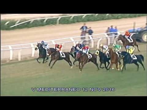 Galoppo Corse del 12 Novembre 2016
