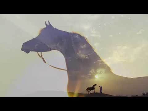 European Summer Sale - Lots' presentation