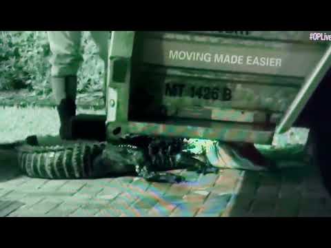 On Patrol Live alligator attack 3/03/23