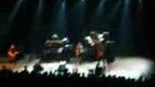 the gathering - analog park