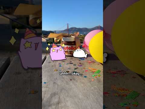 Today marks one year since I posted the first tango video on Instagram! #animation #cat #kitty