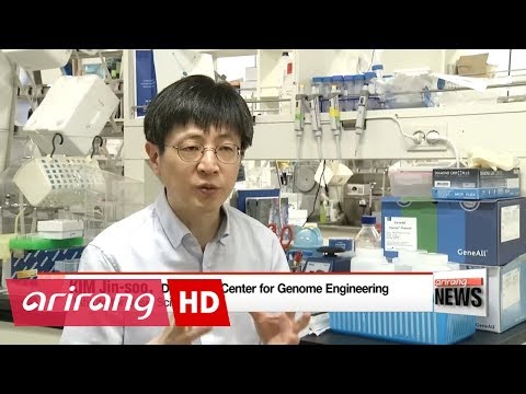 Researchers from Korea and U.S. succeed in gene editing for first time to remove ...
