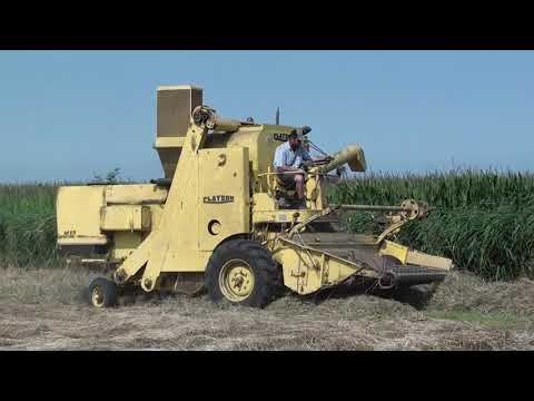 Landb. Annys - Zevekote - Clayson M89