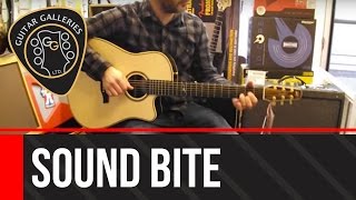 Video thumbnail for Seagull Artist Series Peppino Signature CW QII at Guitar Galleries by Guitar Galleries
