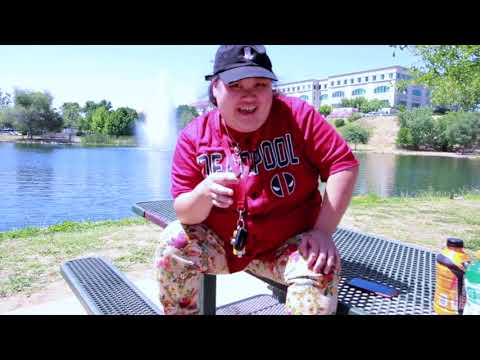 Introduction to ViciousLifestyles