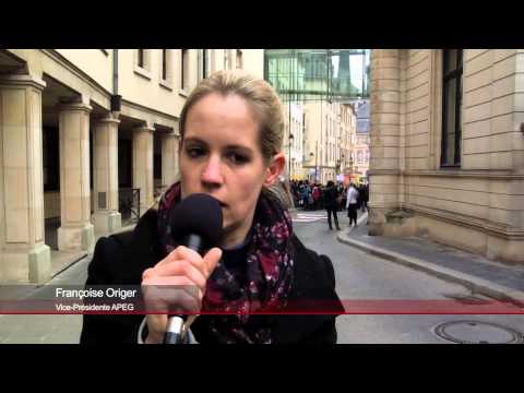 APEG DEMO 24 03 2015  virun der Chamber