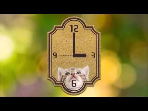 Cats Analog-Clocks Widget Video