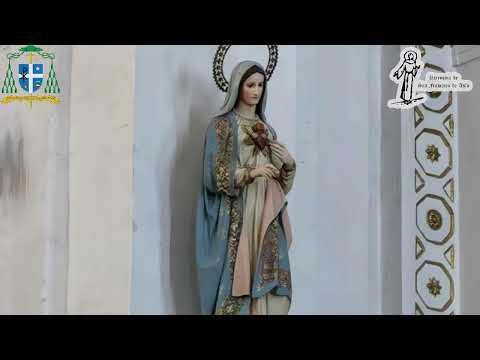 Santa Misa, en vivo desde la Parroquia de San Francisco de Asís, Pachuca, Hgo.