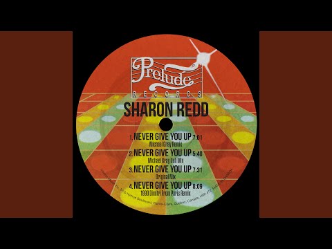 Never Give You Up (Michael Gray Remix)
