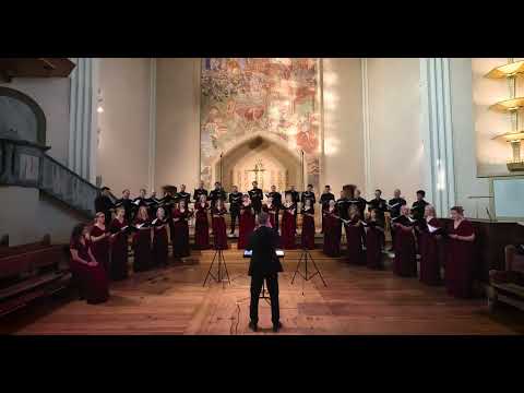 The Deer's Cry (Arvo Pärt) - Sofia Vokalensemble