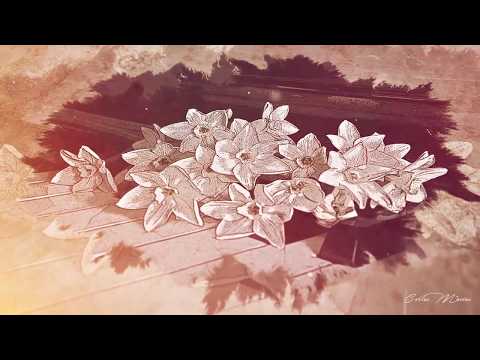Letra Juntando flores Carlos Macias Ft Juan Antonio Letra Juntando flores Carlos Macias Ft Juan Antonio