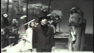 Hullabaloo Bonus Tracks - 15 Laugh Laugh - The Beau Brummels.avi