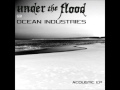 The Moment (Acoustic) - Under The Flood