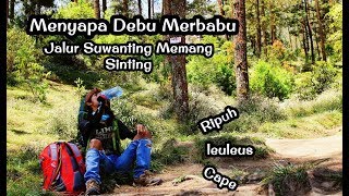 preview picture of video 'Menyapa Debu Merbabu| Pendakian Gunung Merbabu | Gunung Merbabu | Via Jalur Suwanting | Vlog 1'