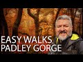 Easy Walks - Padley Gorge Jewel of the Peak District