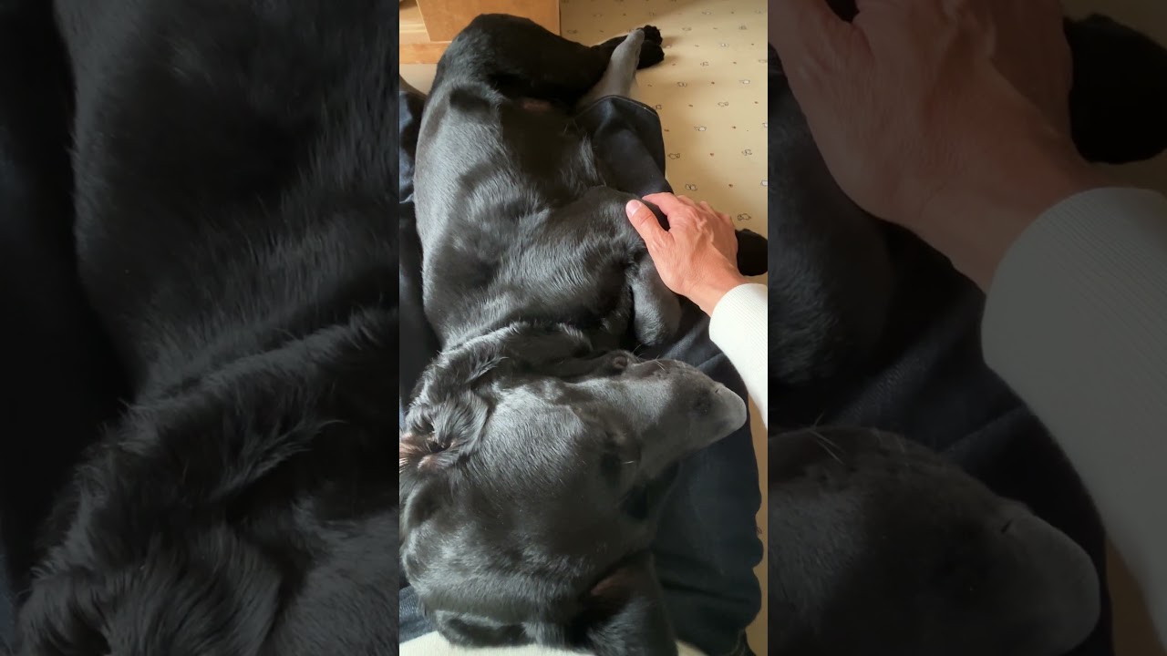 寝たふりです。