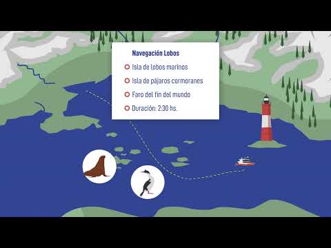 🚢 Navegación Canal Beagle Ushuaia | Faro Les Éclaireurs y Lobos Marinos