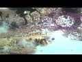 CNN Stunning Satellite View Of Crowd In Cairo