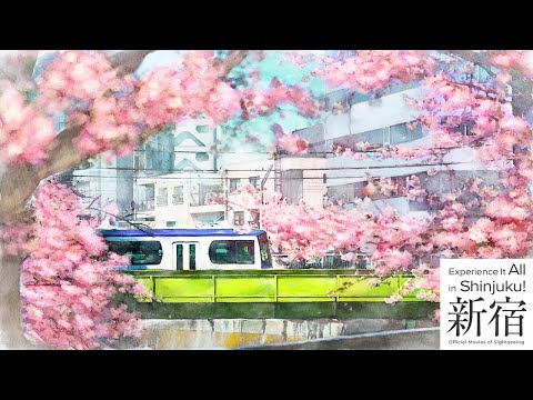 【มีซับไทย】新宿観光 / Shinjuku Tourism｜ทิวทัศน์ × มีเสน่ห์