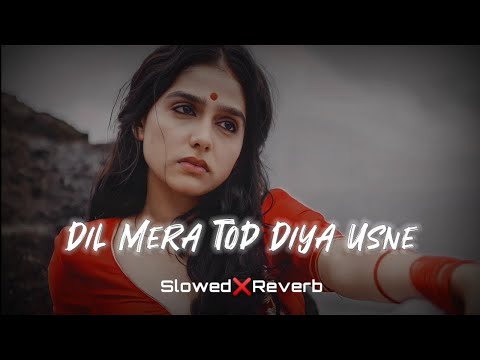 Dil Mera Tod Diya Usne | Slowed & Reverb