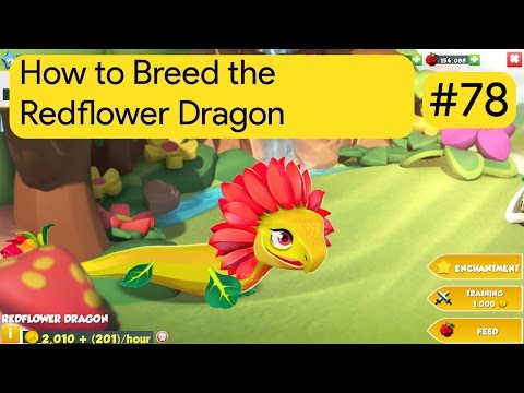 How to Breed the Redflower Dragon | DML Breeding Guide #78