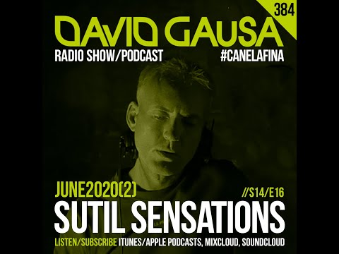 Sutil Sensations #384 - Music from John Summit, Jayda G, Seb Zito, Alex Mills, PAX, Rui Da Silva...