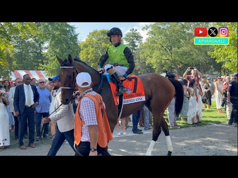 Horse of the Year Thorpedo Anna Faces Challenging Field in 2025 Personal Ensign Stakes