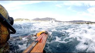 A quelques centimètres de la mort.... Chasse sous-marine Corse