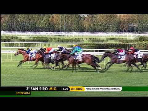 2018.09.02 Premio Marchese Ippolito Fassati di Balzola (ITA) - Assiro