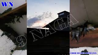 Download lagu SP. SEMBILAN NAGA mp3