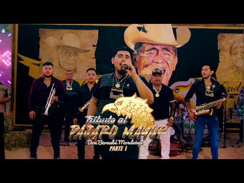 Los Pajaritos de Tacupa - Tributo Al Pajaro Mayor, Pte. 1 (2024)🔴