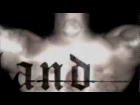 GANGLAND - KITTENS & CATS (MR. LARRY KITTERSON HOVER) CHICAGO, IL [HD]