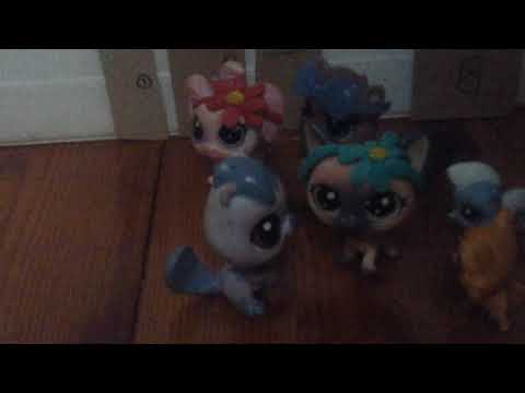 Nieznośna siostra  #1 (nawet tu miło)