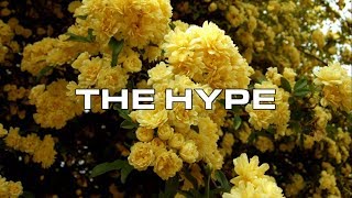 THE HYPE - TWENTY ONE PILOTS (Lyric Video)