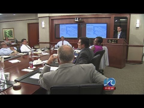 Norfolk postpones vote on backyard chickens