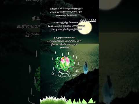 Thayyatha Thayyatha Song Lyrics//Thiruttu Payale/Jeevan/Sonia Agarwal/Bharathwaj #shorts #tamilsong