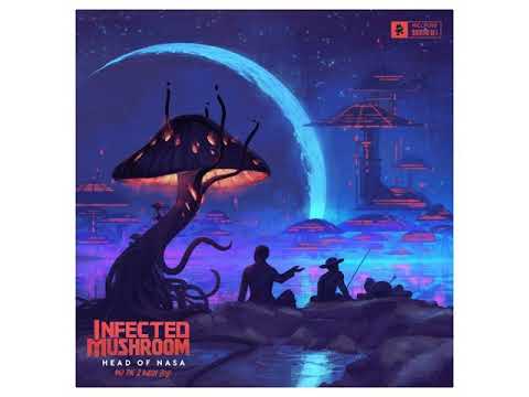 Infected Mushroom - I Wish (new live version)