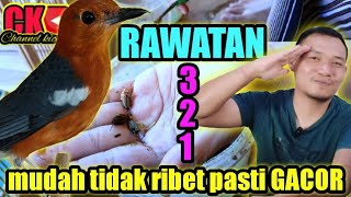 Download lagu RED ANIS CARE SO THAT IT QUICKLY SINGS, SINGS, AND IS HARD, EASY, NOT COMPLICATED, NO NEKO mp3 Download lagu RED ANIS CARE SO THAT IT QUICKLY SINGS, SINGS, AND IS HARD, EASY, NOT COMPLICATED, NO NEKO mp3